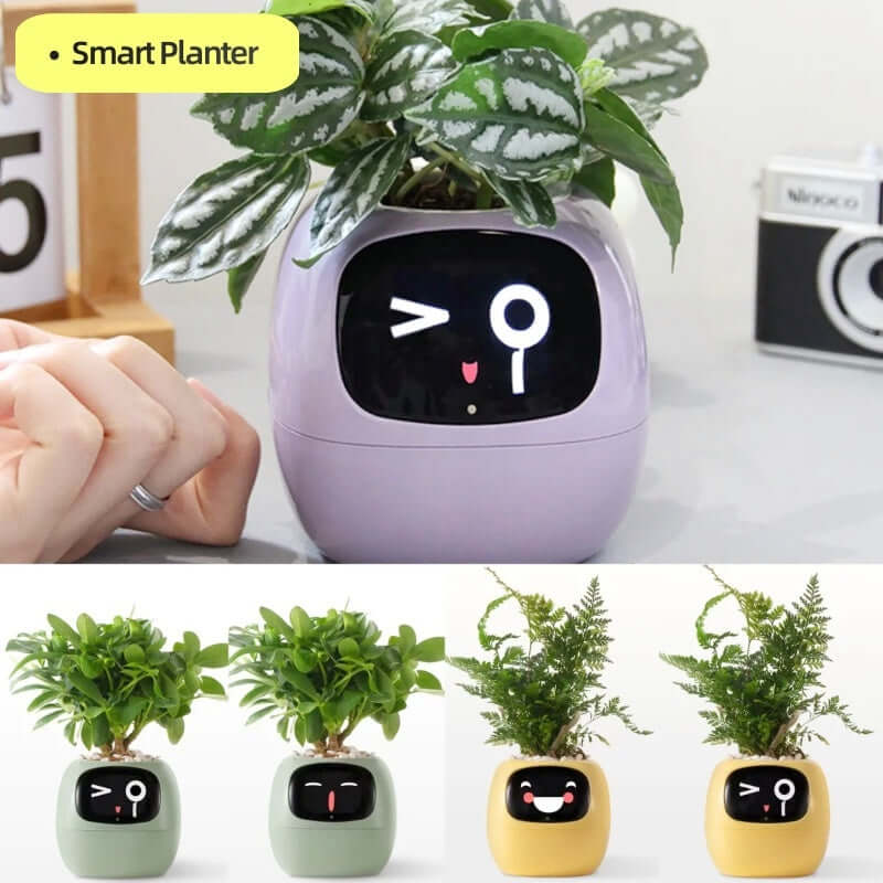 Smart Planter: Your Fun & Friendly Plant Care Companion