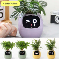 Smart Planter: Your Fun & Friendly Plant Care Companion