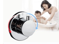 Shower Screen Constant with Temperature Control: Upgrade Your Shower Experience