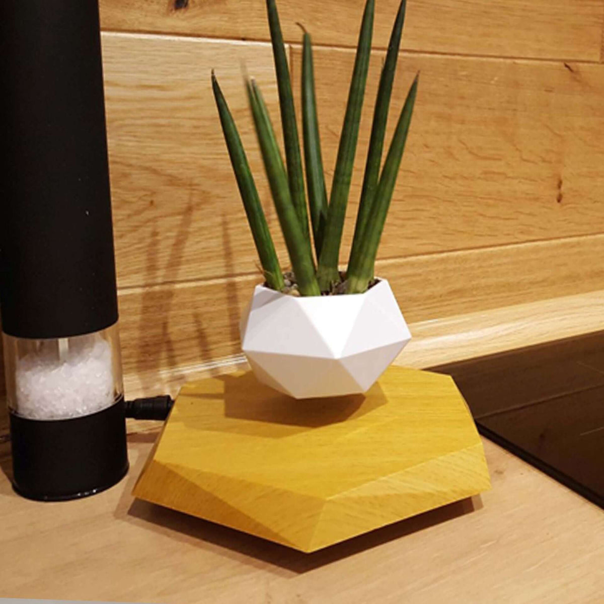 Floating Magnetic Levitating Flower Pot Bonsai Air Plant Pot