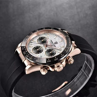 PAGANI DESIGN NewMeteorite Dial Luxury Men watch Sapphire mirror Luminous Waterproof Man watch Quartz VK63 Auto Date Chronograph