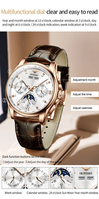 OUPINKE 3189 Men's Watch Top Luxury Brand Automatic Mechanical Watch Fashion Leather Waterproof Sapphire Mirror Moon Men's Watch