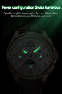 OUPINKE 3189 Men's Watch Top Luxury Brand Automatic Mechanical Watch Fashion Leather Waterproof Sapphire Mirror Moon Men's Watch