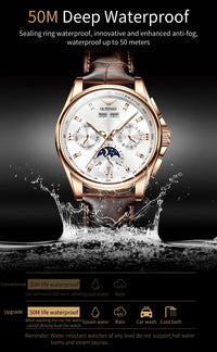 OUPINKE 3189 Men's Watch Top Luxury Brand Automatic Mechanical Watch Fashion Leather Waterproof Sapphire Mirror Moon Men's Watch