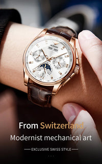 OUPINKE 3189 Men's Watch Top Luxury Brand Automatic Mechanical Watch Fashion Leather Waterproof Sapphire Mirror Moon Men's Watch
