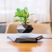 Floating Magnetic Levitating Flower Pot Bonsai Air Plant Pot