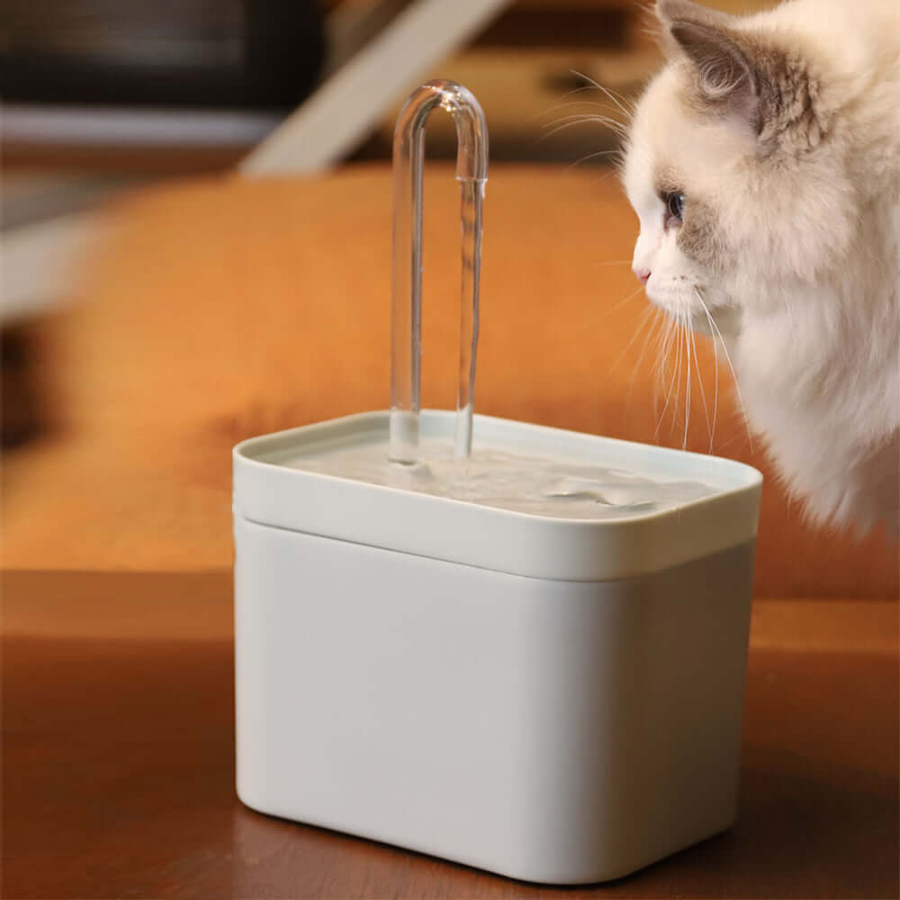 USB Automatic Cat Water Fountain – 3 Modes, 1.5L, Quiet