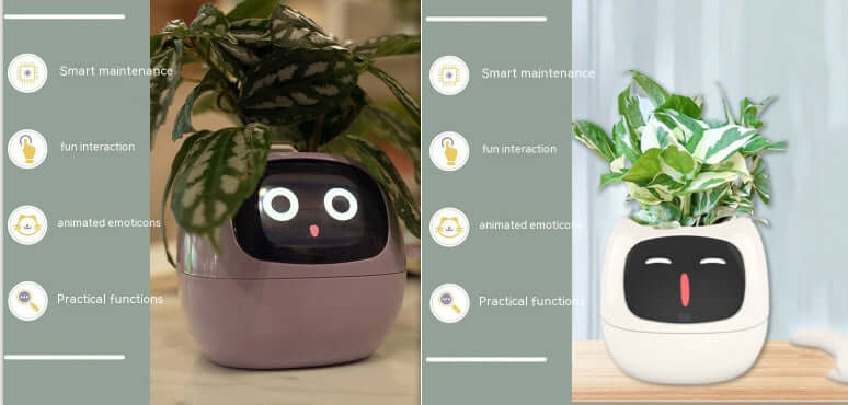 Smart Planter: Your Fun & Friendly Plant Care Companion