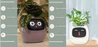 Smart Planter: Your Fun & Friendly Plant Care Companion