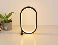 Modern Plug-In Oval Acrylic Lamp with Touch Control